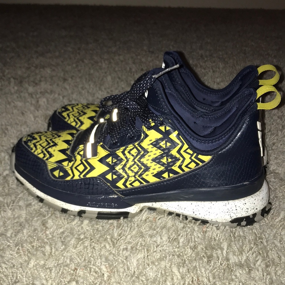 Damian Lillard Michigan custom shoes
